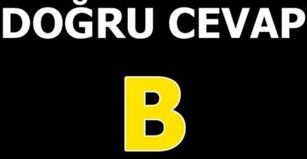 Foto - Bu soruları bilemediler!