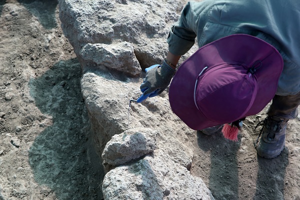 Foto - Bu sorunun cevabı araştırılıyor! Malazgirt Savaşı nerede yapıldı? 