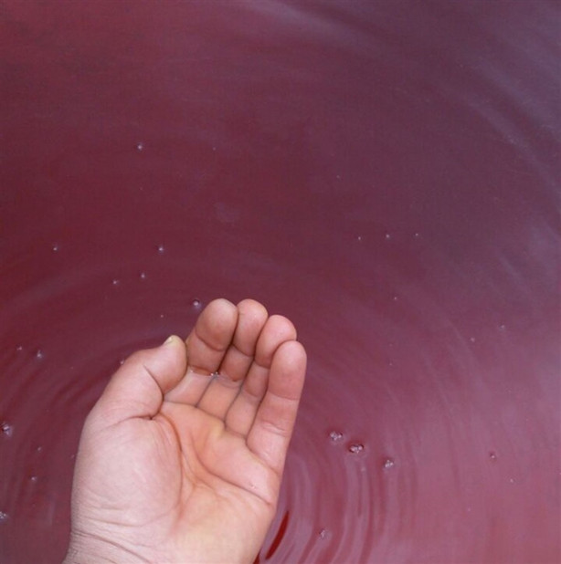 Foto - Bu sudan içebilmek için sıraya giriyorlar