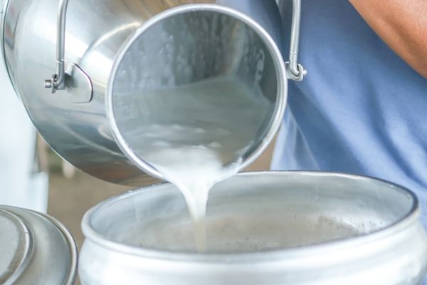 Foto - Bu sütü içmek zararlıymış! Aman sağlığınızdan olmayın 