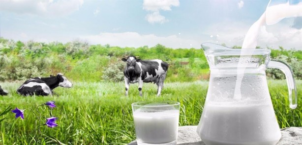 Foto - Bu sütü içmek zararlıymış! Aman sağlığınızdan olmayın 