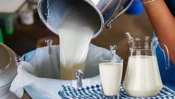 Foto - Bu sütü içmek zararlıymış! Aman sağlığınızdan olmayın 