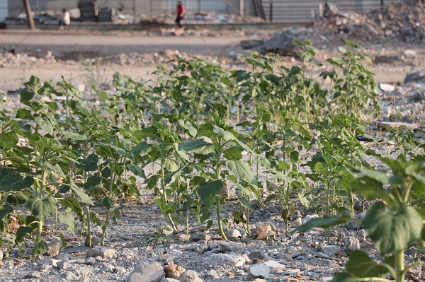 Foto - Bu tablo herkesi duygulandırdı! Depremde çöken dükkandan şaşırtan görüntü
