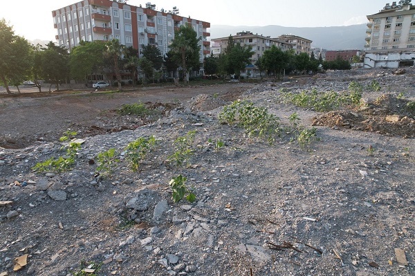 Foto - Bu tablo herkesi duygulandırdı! Depremde çöken dükkandan şaşırtan görüntü