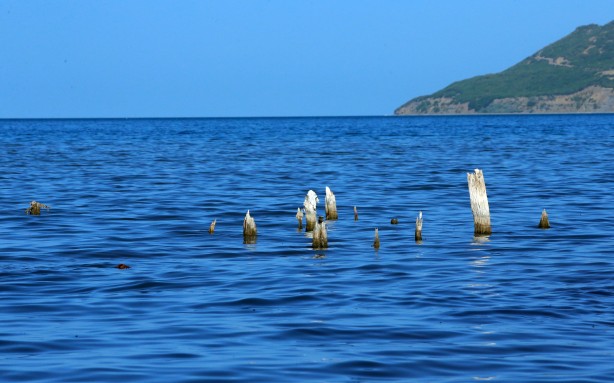 Foto - Bu tablonun sonu iyi değil! Van Gölü'nde tedirgin eden görüntüler