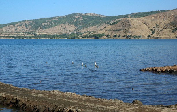 Foto - Bu tablonun sonu iyi değil! Van Gölü'nde tedirgin eden görüntüler