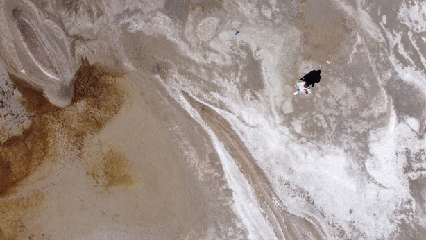 Foto - Bu tablonun sonu iyi değil! Van Gölü'nde tedirgin eden görüntüler