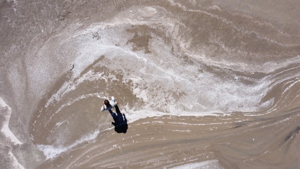 Foto - Bu tablonun sonu iyi değil! Van Gölü'nde tedirgin eden görüntüler