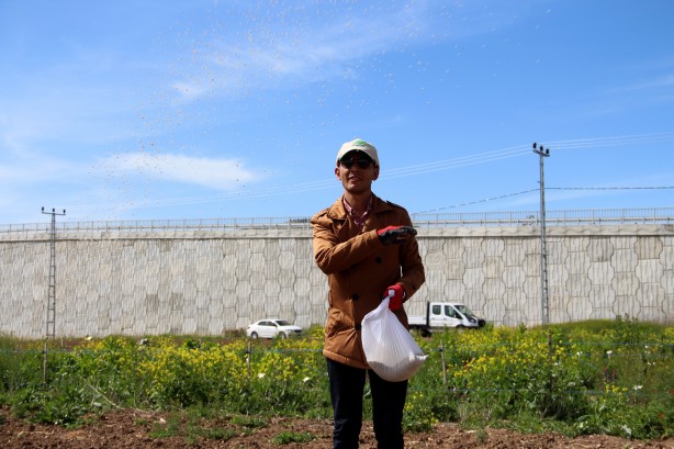 Foto - Bu tarla Türk tarımına tarih yazdıracak! Dünyayı peşine düşürecek proje ortaya çıktı
