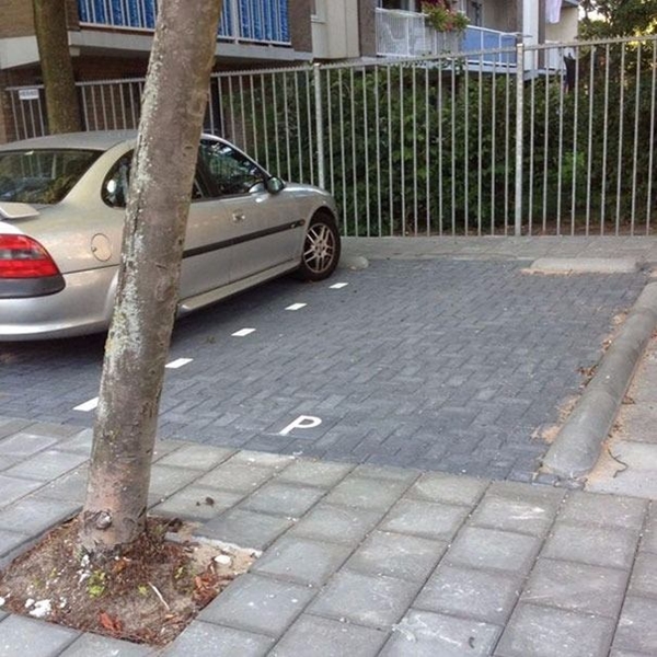 Foto - Bu tasarımları nasıl yaptıklarına çok şaşıracaksınız!