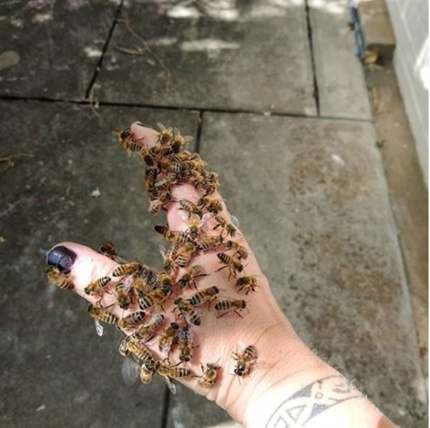 Foto - Bu terapileri yaptırmak cesaret ister