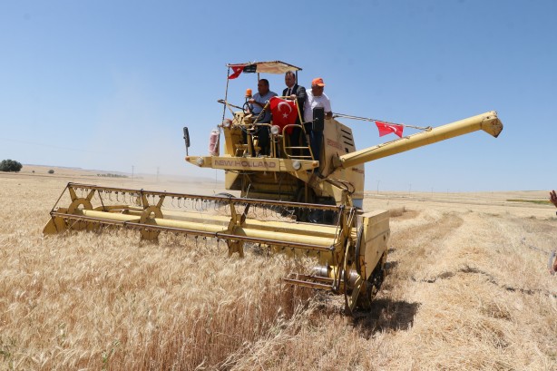 Foto - Bu tohum Türkiye'yi ayağa kaldıracak! 9 ay önce ekti ve aldığı sonuç şaşkına çevirdi