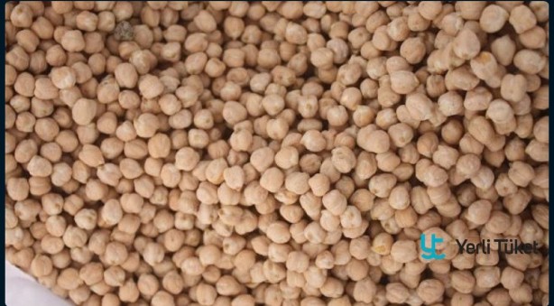 Foto - Bu tohumlar kuraklığa resmen meydan okuyor! Çiftçilerin gözdesi oldu