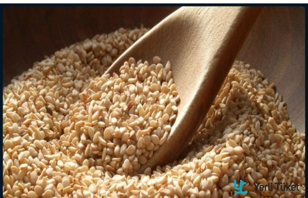 Foto - Bu tohumlar kuraklığa resmen meydan okuyor! Çiftçilerin gözdesi oldu