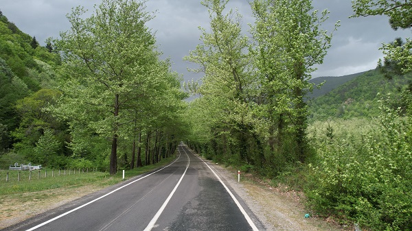 Foto - Bu tünele giren çıkmak istemiyor! 