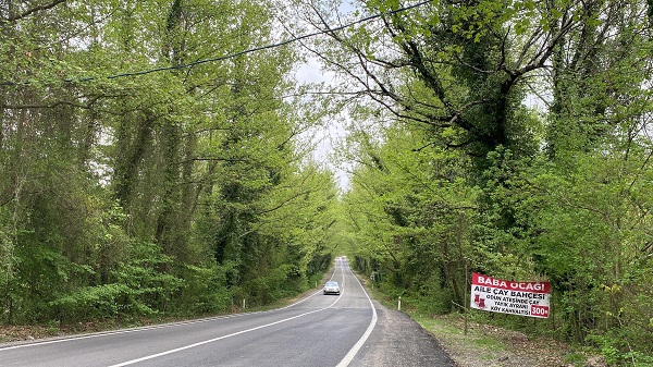 Foto - Bu tünele giren çıkmak istemiyor! 
