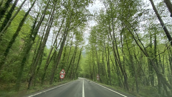 Bu tünele giren çıkmak istemiyor! 