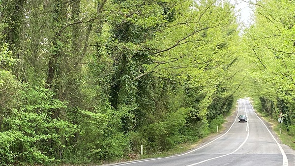 Foto - Bu tünele giren çıkmak istemiyor! 