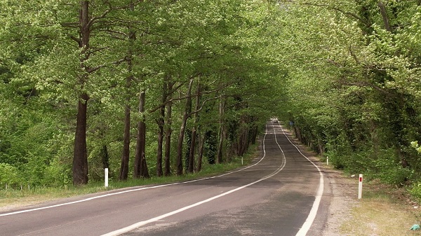 Foto - Bu tünele giren çıkmak istemiyor! 
