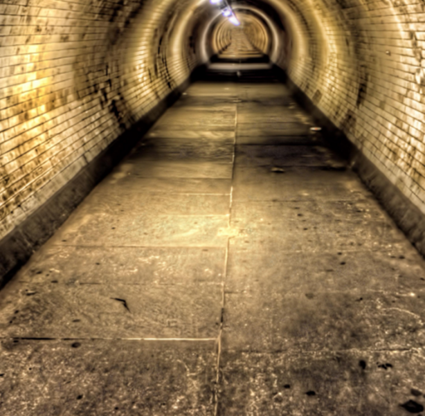  Bu tünelin içinden çıkanlara inanamayacaksınız!