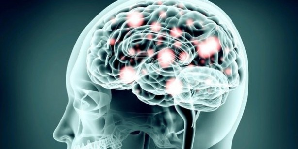 Bu tüyolar IQ'yu artırıyor! İşte zekayı artırmanın yolları: Ufacık bir değişiklikle fark belli oluyor! Çarpıcı araştırma