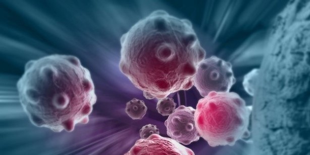 Foto - Bu tüyolar IQ'yu artırıyor! İşte zekayı artırmanın yolları: Ufacık bir değişiklikle fark belli oluyor! Çarpıcı araştırma