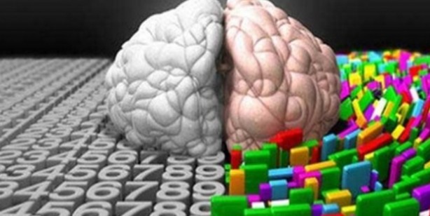 Foto - Bu tüyolar IQ'yu artırıyor! İşte zekayı artırmanın yolları: Ufacık bir değişiklikle fark belli oluyor! Çarpıcı araştırma