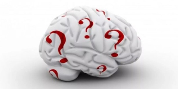 Foto - Bu tüyolar IQ'yu artırıyor! İşte zekayı artırmanın yolları: Ufacık bir değişiklikle fark belli oluyor! Çarpıcı araştırma