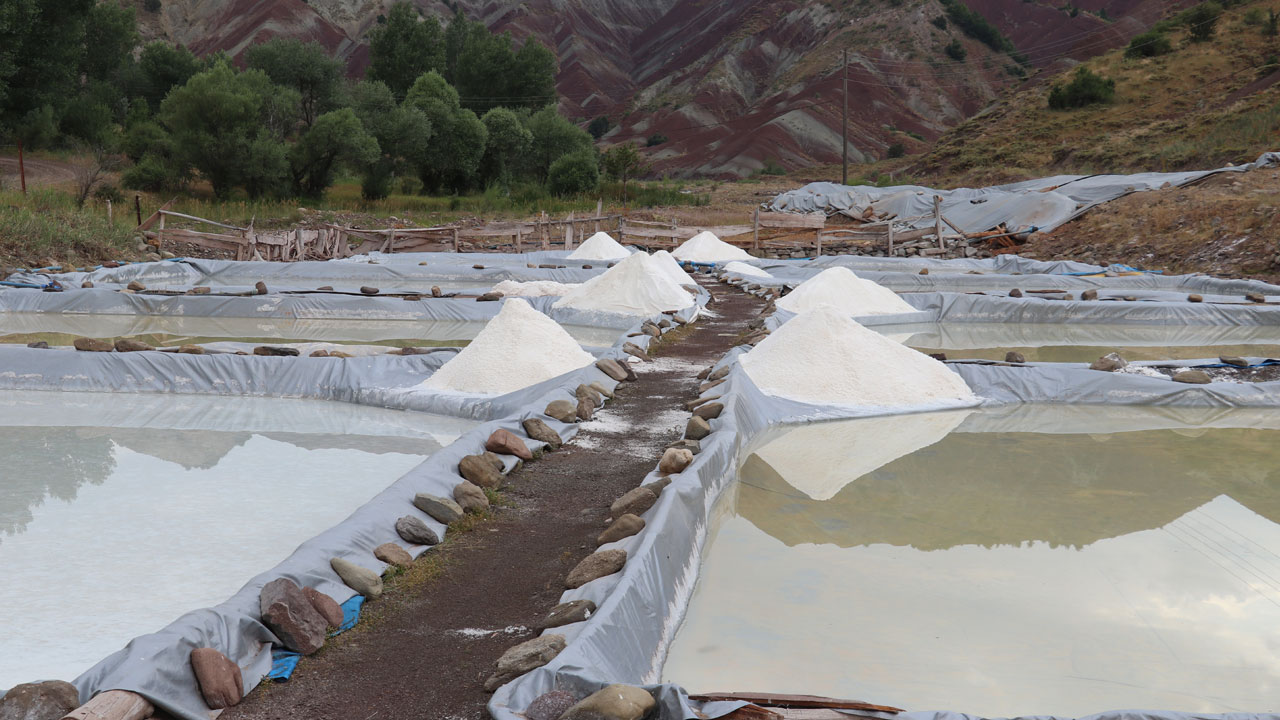 Foto - Bu tuz dünyayı fethediyor! Sivas’ın dağlarından Japon sofralarına