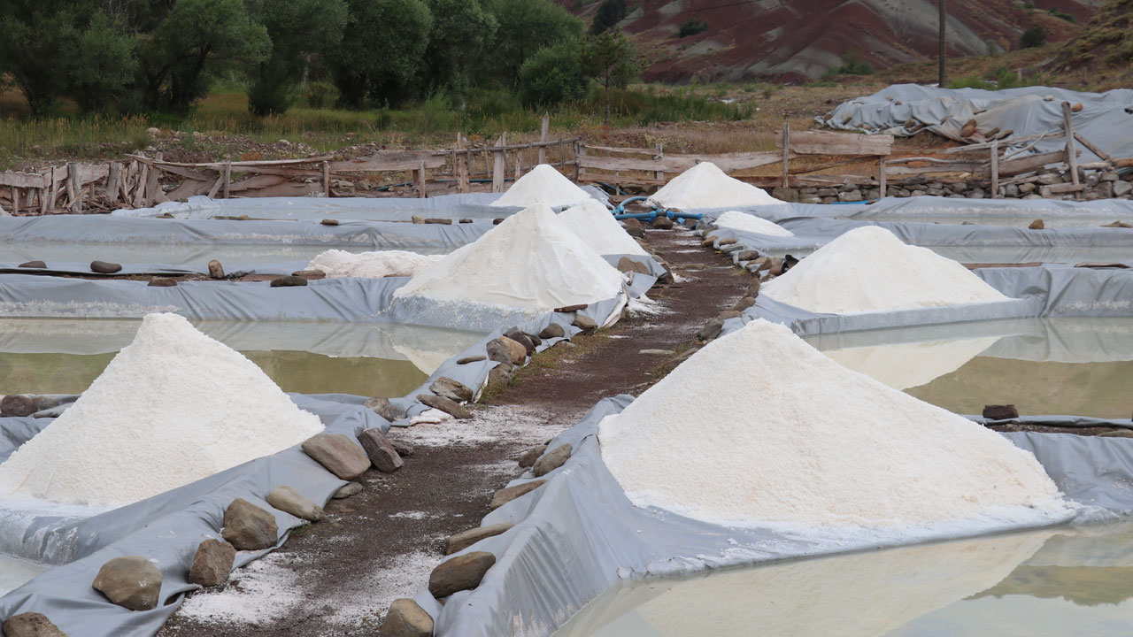 Foto - Bu tuz dünyayı fethediyor! Sivas’ın dağlarından Japon sofralarına