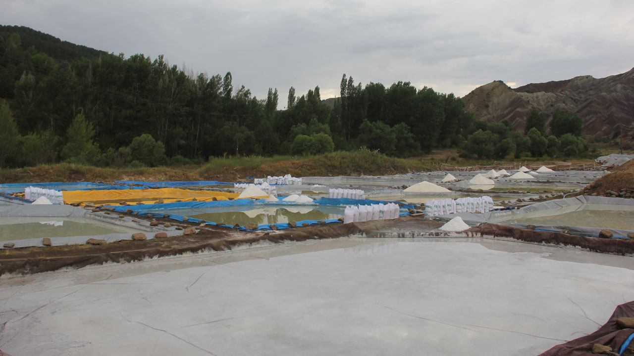 Foto - Bu tuz dünyayı fethediyor! Sivas’ın dağlarından Japon sofralarına