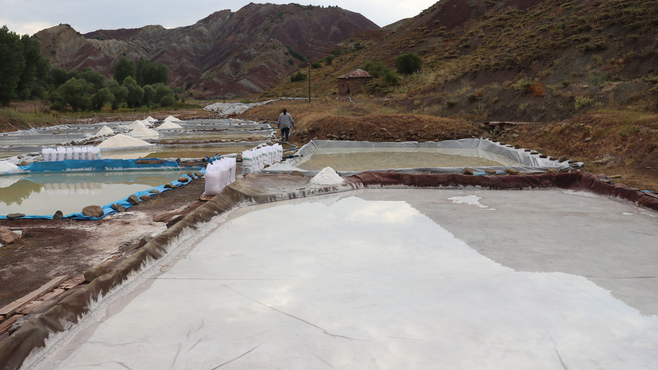 Bu tuz dünyayı fethediyor! Sivas’ın dağlarından Japon sofralarına