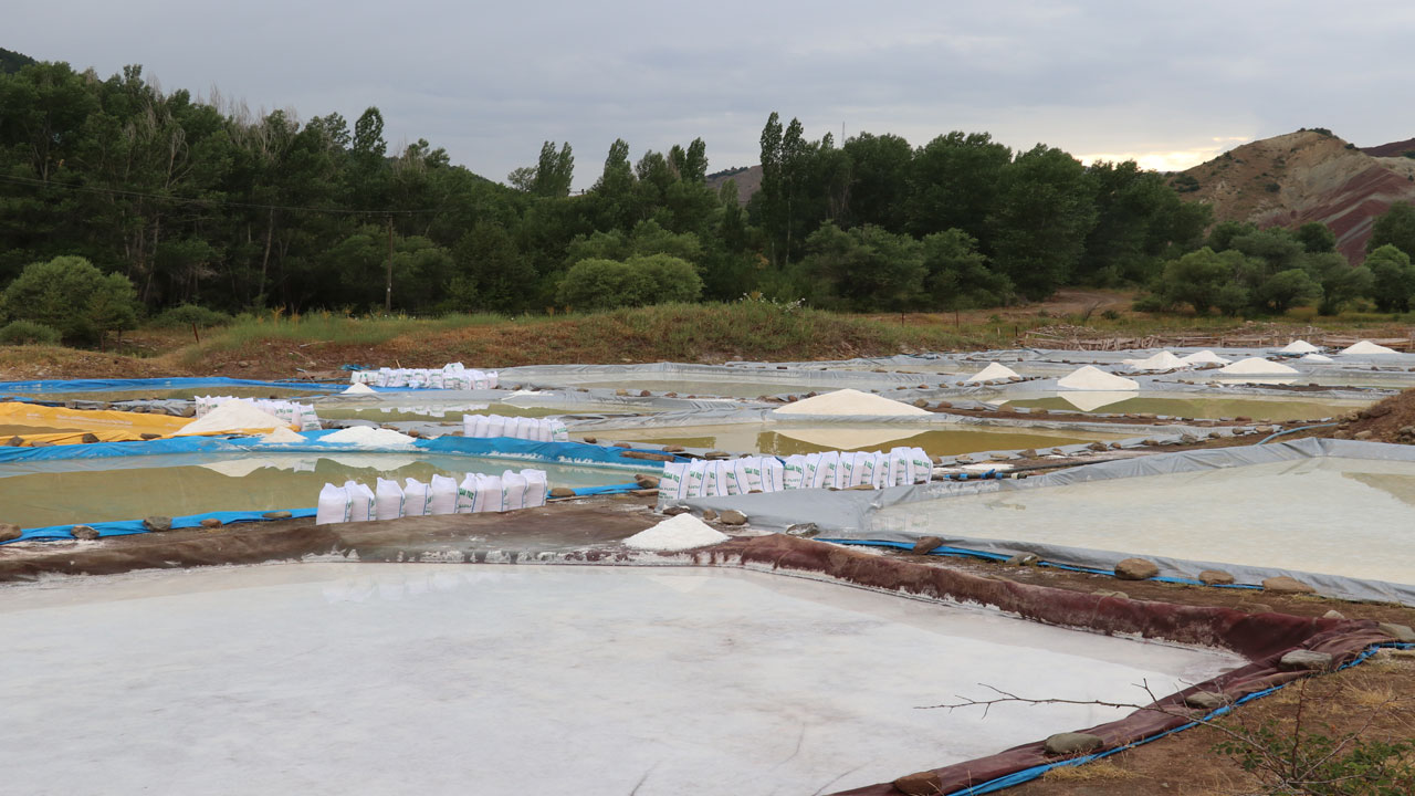 Foto - Bu tuz dünyayı fethediyor! Sivas’ın dağlarından Japon sofralarına