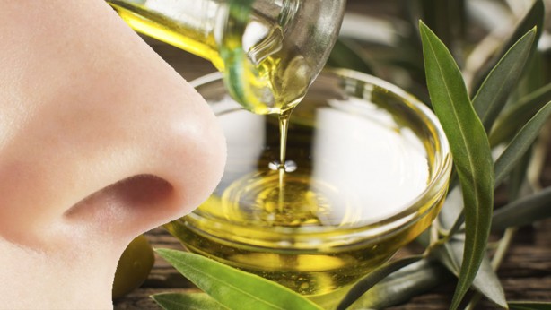 Foto - Bu tuzağa düşmeyin! İşte zeytinyağını test etme yöntemi