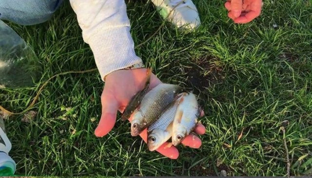 Foto - Bu tuzakla onlarca balık avlayabilirsiniz!