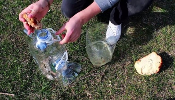 Foto - Bu tuzakla onlarca balık avlayabilirsiniz!