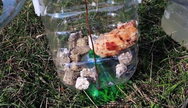 Foto - Bu tuzakla onlarca balık avlayabilirsiniz!