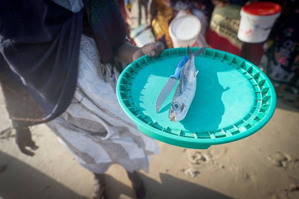 Foto - Bu ülkede 53 bin kişi balıkçılıktan geçim sağlıyor