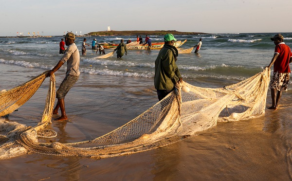 Foto - Bu ülkede 53 bin kişi balıkçılıktan geçim sağlıyor