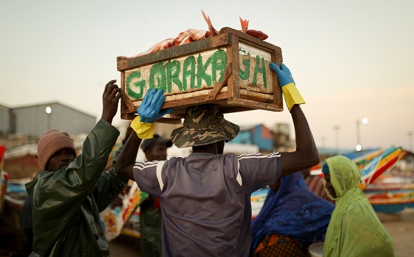 Foto - Bu ülkede 53 bin kişi balıkçılıktan geçim sağlıyor