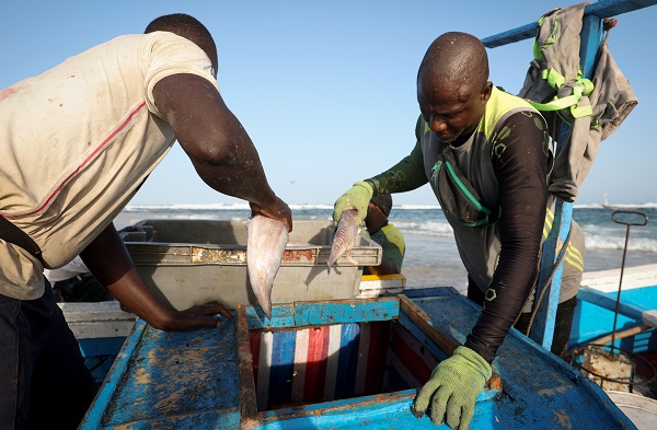 Foto - Bu ülkede 53 bin kişi balıkçılıktan geçim sağlıyor