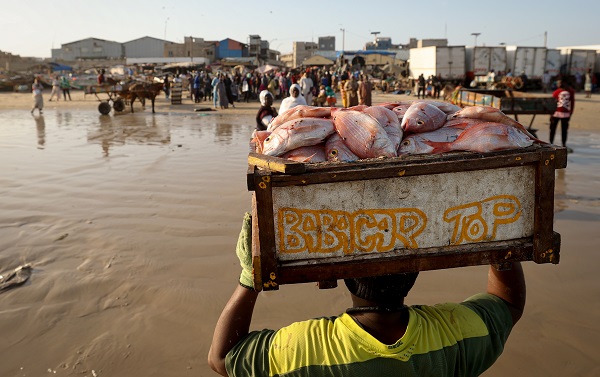 Foto - Bu ülkede 53 bin kişi balıkçılıktan geçim sağlıyor