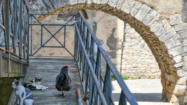 Foto - Burada evler 10 TL'ye satılıyor! Tek bir şartları var
