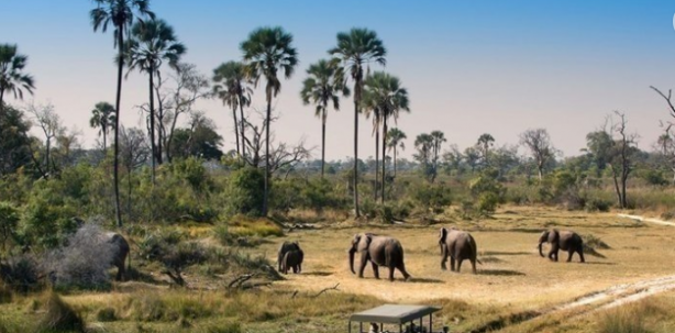 Foto - Bu ülkeler Türk vatandaşlarından vize istemiyor! Güney Kore Japonya Ukrayna Moldova sandığınızdan çok daha fazlası İşte 2023'te vizesiz gidebileceğiniz ülkeler