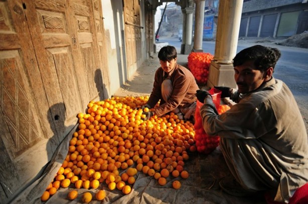 Foto - Bu ülkeler vize istemiyor