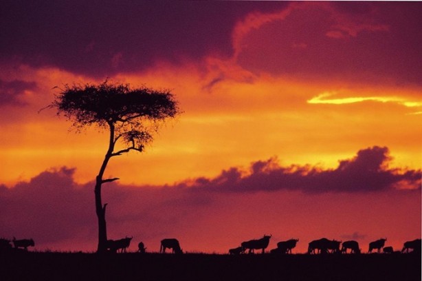 Foto - Bu ülkeler vize istemiyor