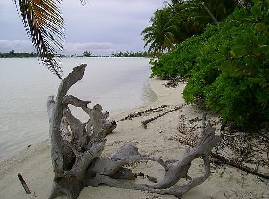 Foto - Bu ülkelerde ordu yok