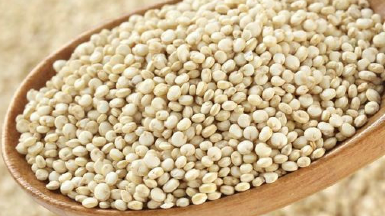 Foto - Bu un şifa dağıtıyor: Çölyak hassasiyeti olan ve glütensiz beslenmek isteyen Amarant unu ile yapsın! 