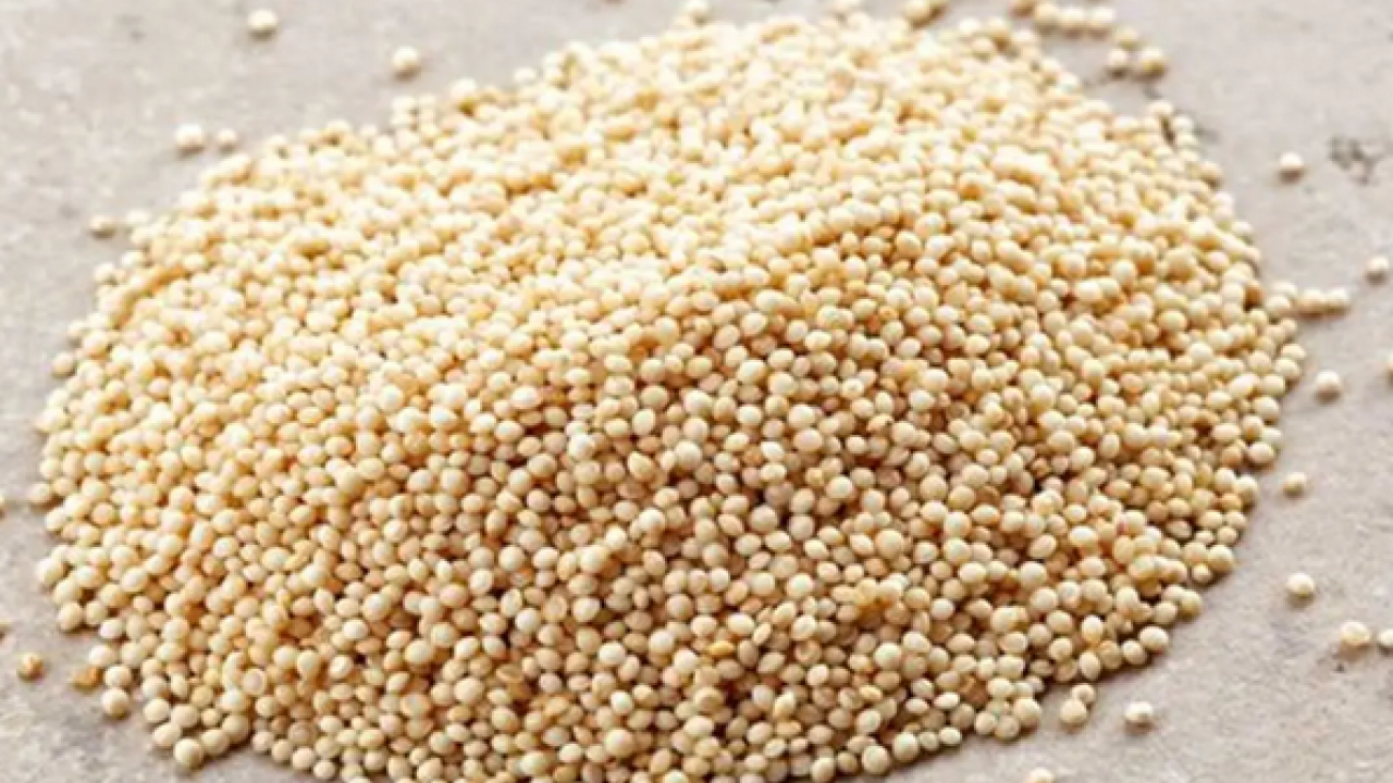 Foto - Bu un şifa dağıtıyor: Çölyak hassasiyeti olan ve glütensiz beslenmek isteyen Amarant unu ile yapsın! 