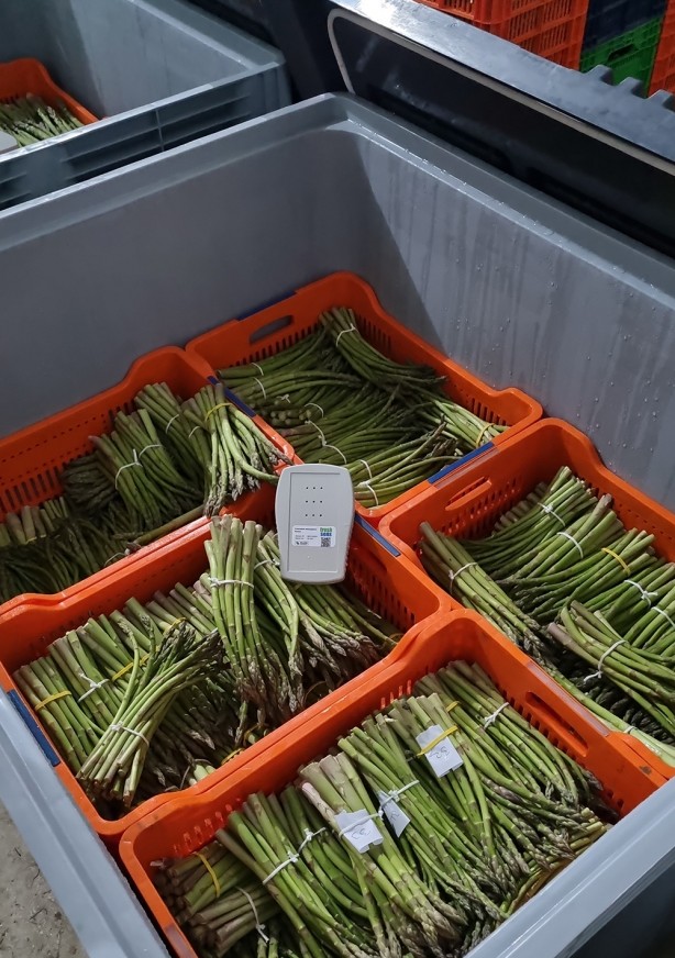 Foto - Bu ürün meyve, sebze ve çiçekleri uyutup raf ömrünü uzatıyor